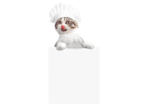 Programa Diálogo Na WEB